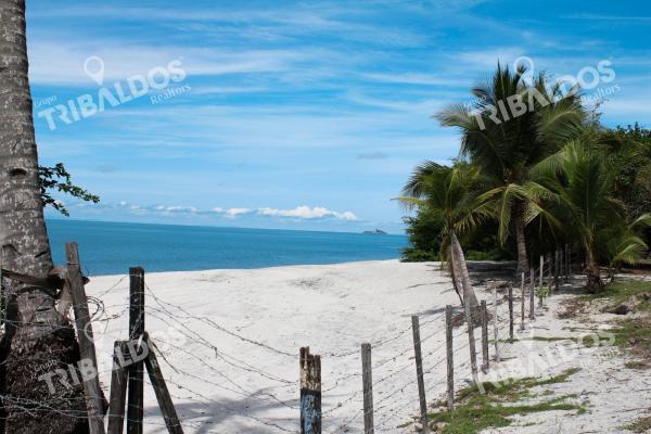 Terreno frente al mar en venta en río hato | 18 hectáreas | us$38/m²