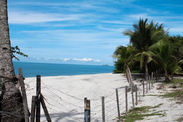 Oceanfront land for sale in río hato | 18 hectares
