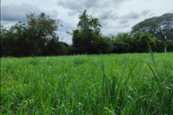Venta de terreno en herrera, chitre area comercial