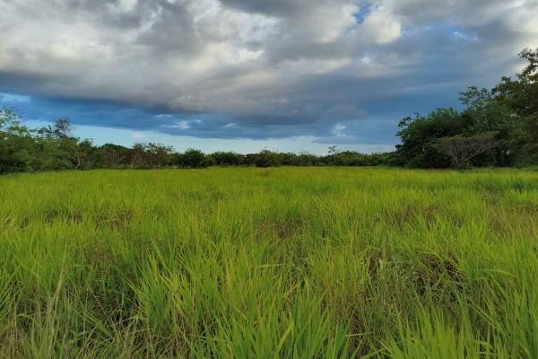 Se vende lote de terreno de 2.5 hectáres en el retiro, antón, coclé