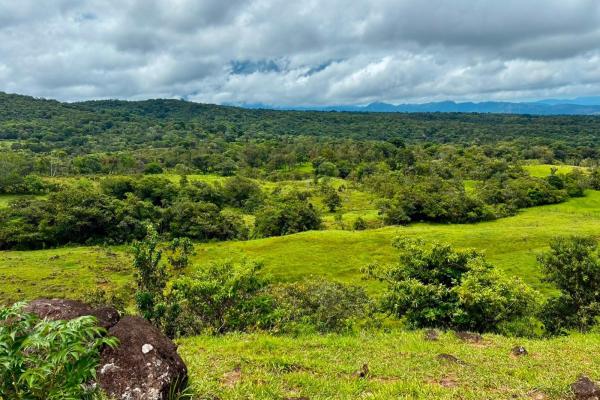 Se vende hermosa finca de 16+ hectareas en jaramillo, boquete
