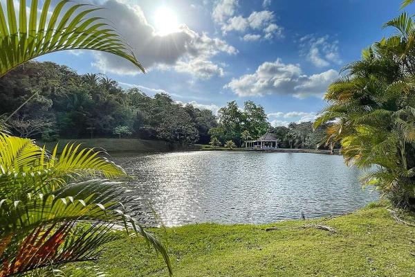 Amazing house 30 minutes from the city