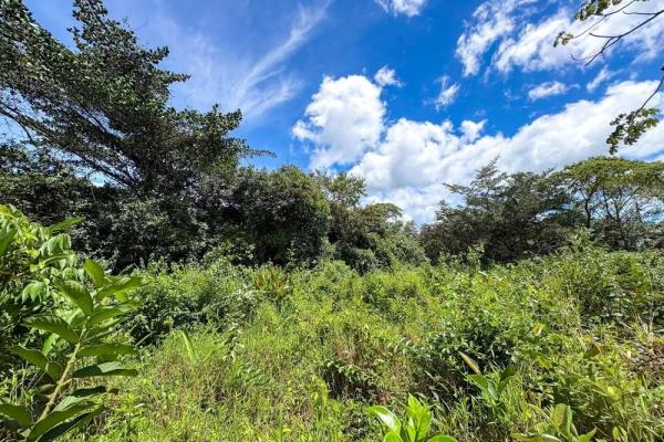 1.28-acre lot sale in potrerrillos, dolega