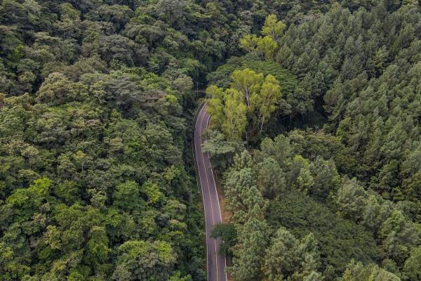 Land for sale in sorá chame