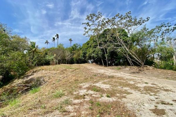 Finca de 4.3 hectareas – proyecto ideal comunidad