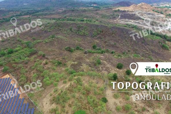 Se vende terreno en bejuco