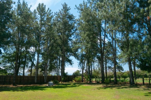 Casa de 3 dormitorios con llave en mano