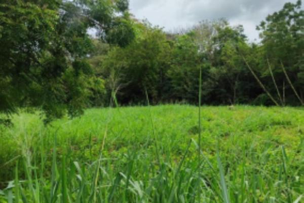 Venta de terreno en herrera, chitre area comercial