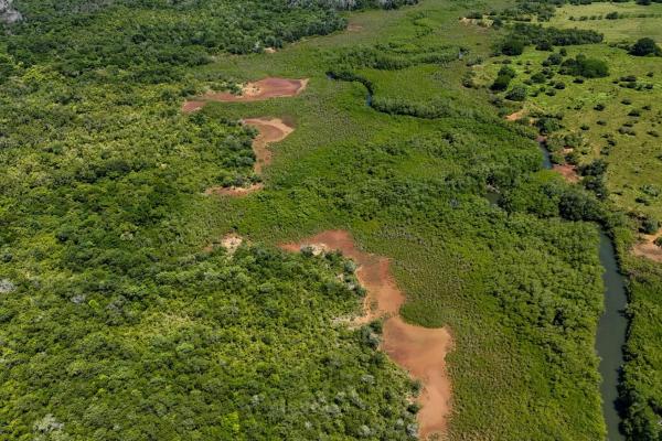 Commercial property in boca chica