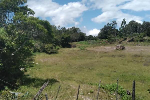 Land for sale in volcancito chiriqui