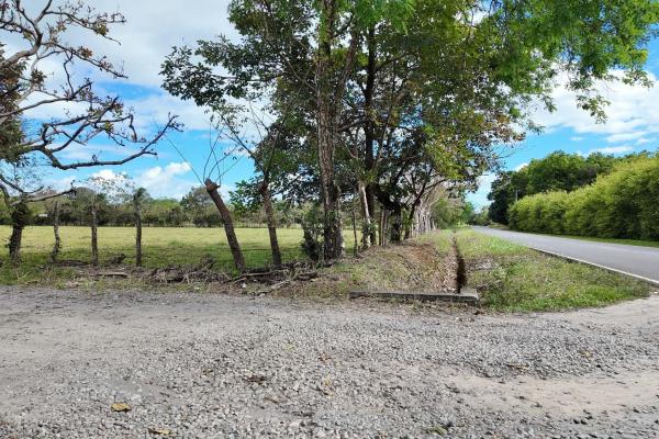 Prime flat land for sale in cochea abajo, david