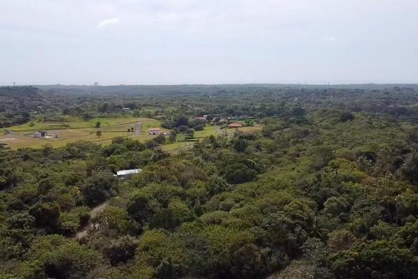 Finca de 4.3 hectareas – proyecto ideal comunidad