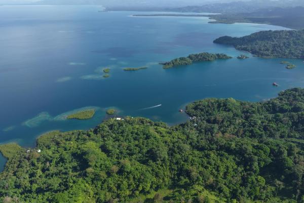 10 hectares of titled waterfront in tierra oscura