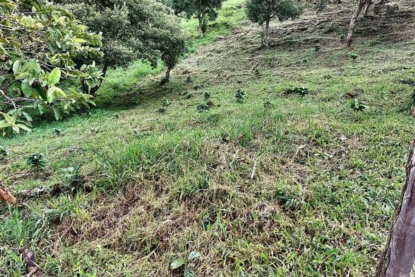 Cattle farm or private retreat