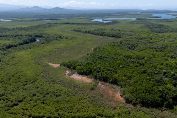 Commercial property in boca chica