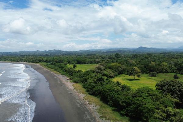 +9 hectares of flat beachfront land for sale
