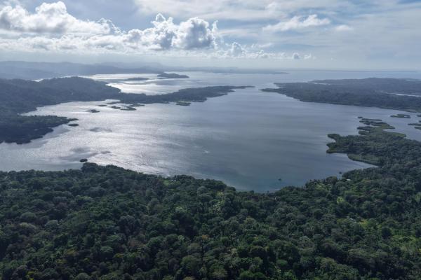10 hectares of titled waterfront in tierra oscura