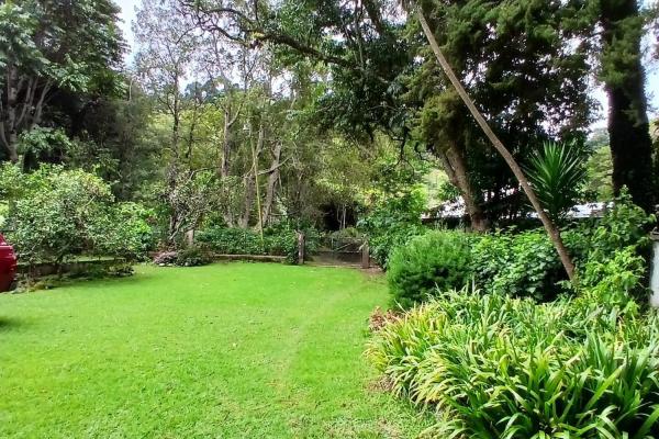 Beautiful park property in high-altitude location