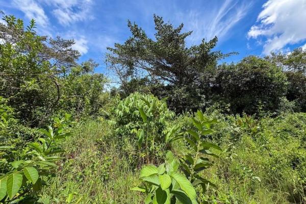 1.28-acre lot sale in potrerrillos, dolega