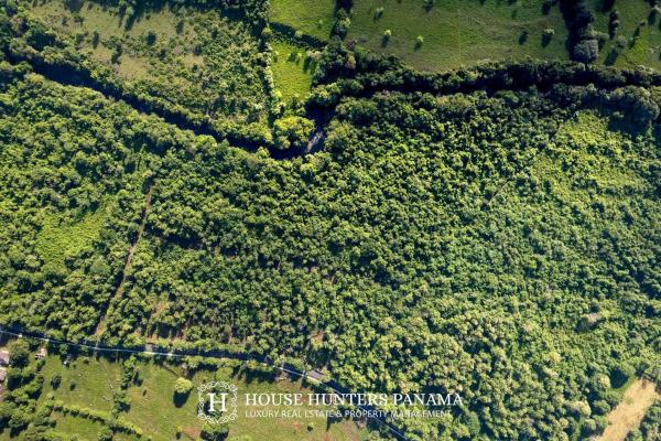 Terreno urbanizable de 11 hectáreas en venta - bagalá, panamá