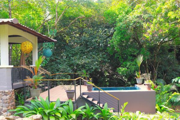 Propiedad de 3 acres frente al río con casa de huespedes