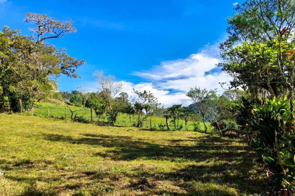 Lote privilegiado en venta en volcán