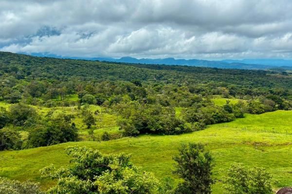 Se vende hermosa finca de 16+ hectareas en jaramillo, boquete