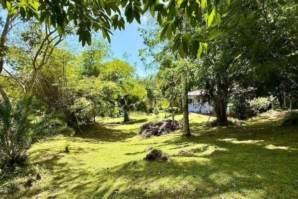 2.2 ha en cermeño con excelente ubicacion