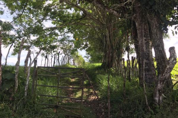 Amplia propiedad de 146.652 ha con fuentes de agua