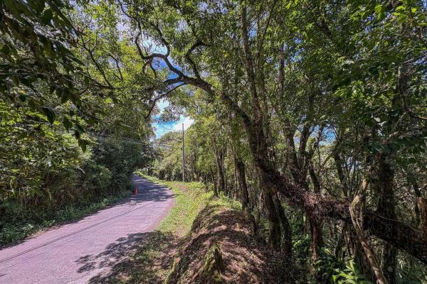 7,843 m² lot for sale in volcancito arriba