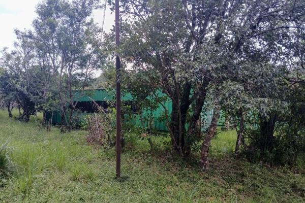 Amplio terreno plano de 9.229 m² en alto boquete