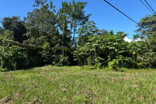 Venta de propiedad, terreno en coronado