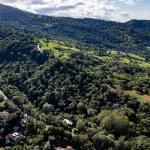 Finca de café y aguacate de boquete con vistas al volcán barú