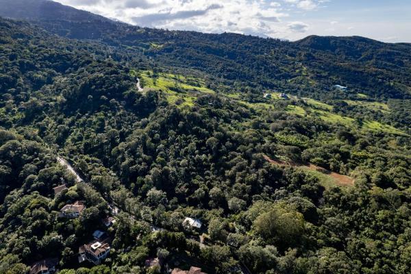 Finca de café y aguacate de boquete con vistas al volcán barú