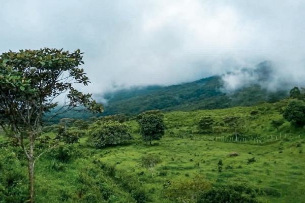11 hectares land for sale in caldera boquete