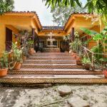 Venta de finca en san carlos con casa y árboles frutales