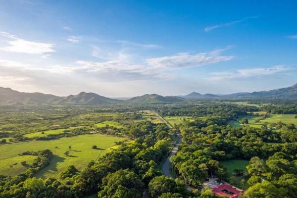 Finca de café en venta en el cascajal, la pintada
