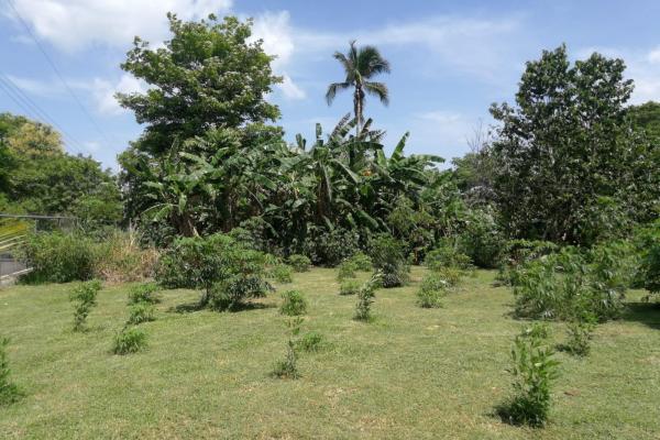 House for sale in la palma, san carlos