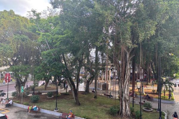 Edificio con 3 locales comerciales en santa ana. (casa angélica)