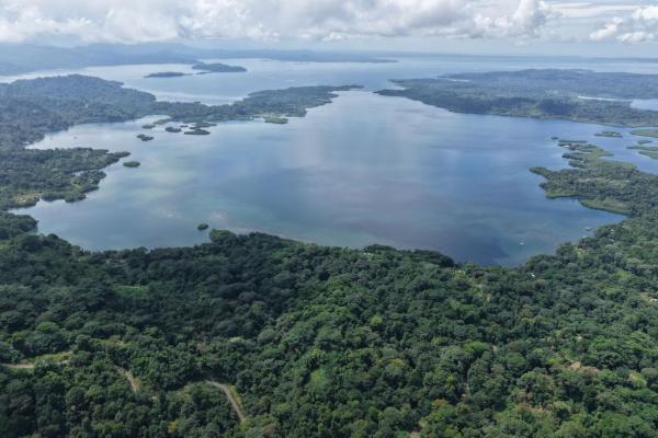 Terreno agrícola de 110 hectáreas frente al mar