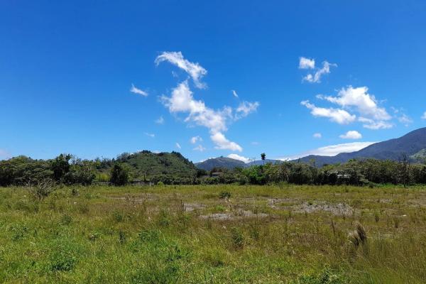 Flat road-front lot for sale in volcan