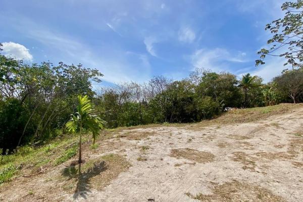 Finca de 4.3 hectareas – proyecto ideal comunidad