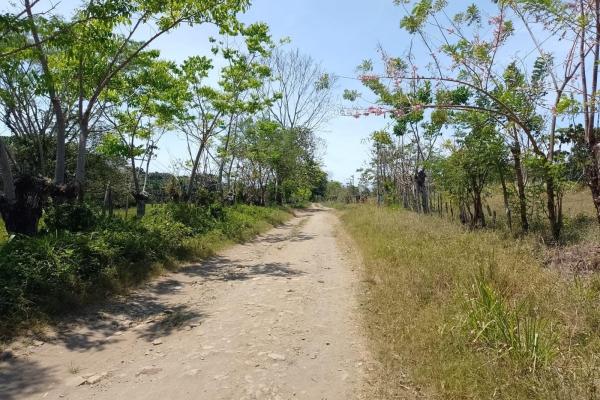 Land 172 acres in puerto armuelles, limones io