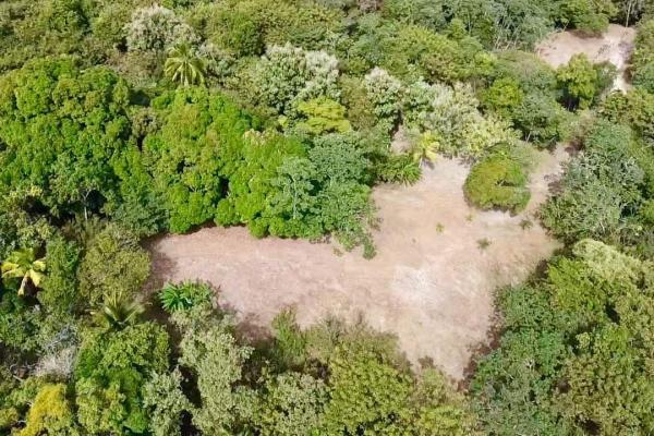 Finca de 4.3 hectareas – proyecto ideal comunidad