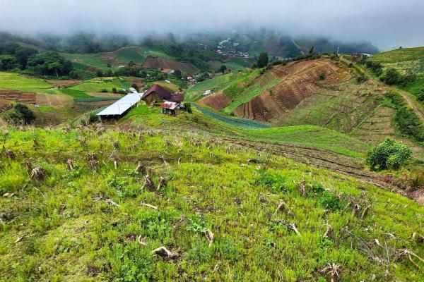 Finca agrícola en venta – cerro punta, chiriquí