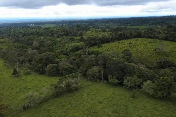 Finca con tierra negra, pasto, clima fresco y bien ubicada.