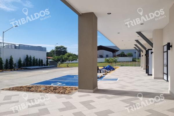 Rental of commercial spaces in my coronado plaza