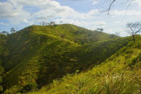67-hectare oceanfront sanctuary in arena, veraguas