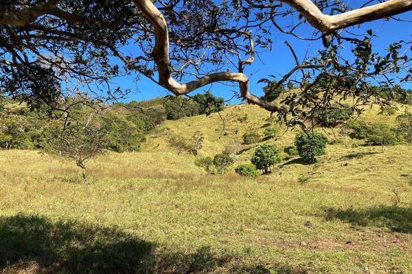 Cattle farm or private retreat