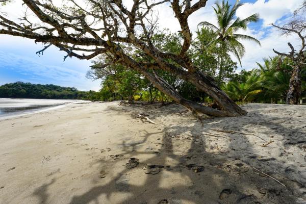 Oceanfront lot for sale